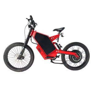 3+MX30 Fat Tire Electric Bike